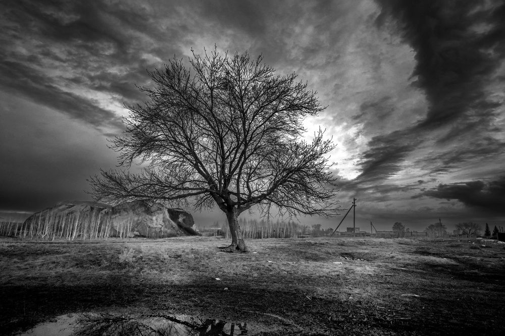 Фотография автора Игорь Васильев