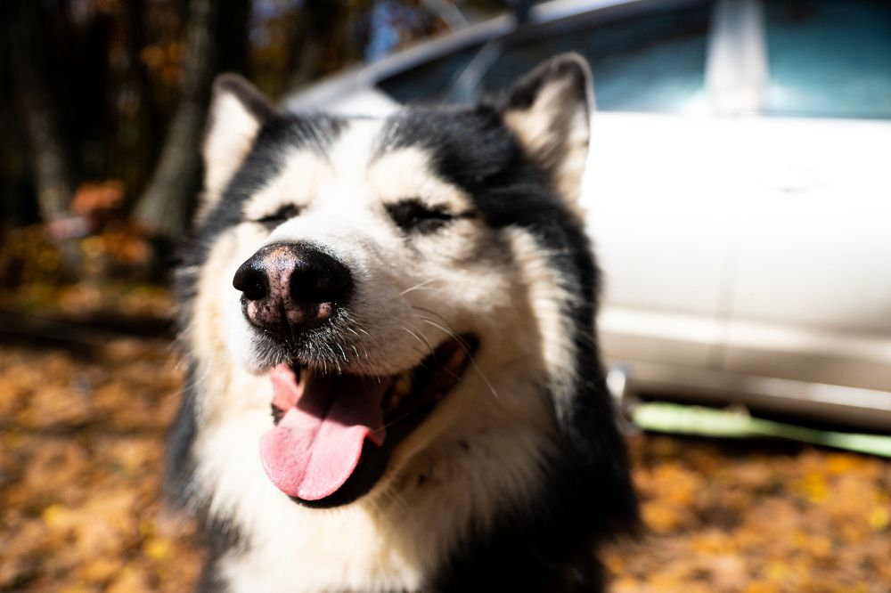 Photograph by Anna Kotelnikova