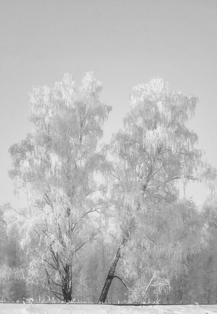 Photograph by Юлия Лушникова