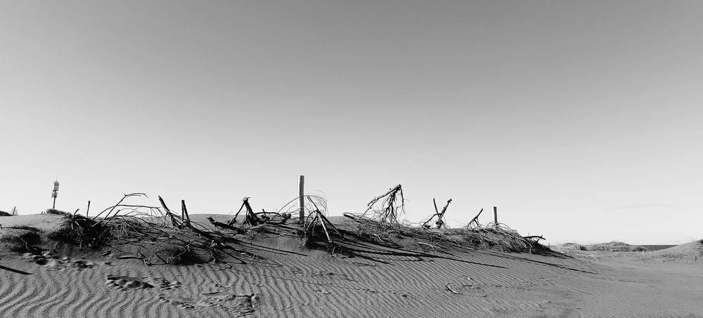 Photograph by JAVIER BATROSSE