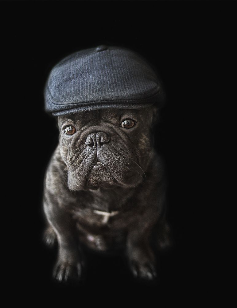 Photograph by Ольга Софронова