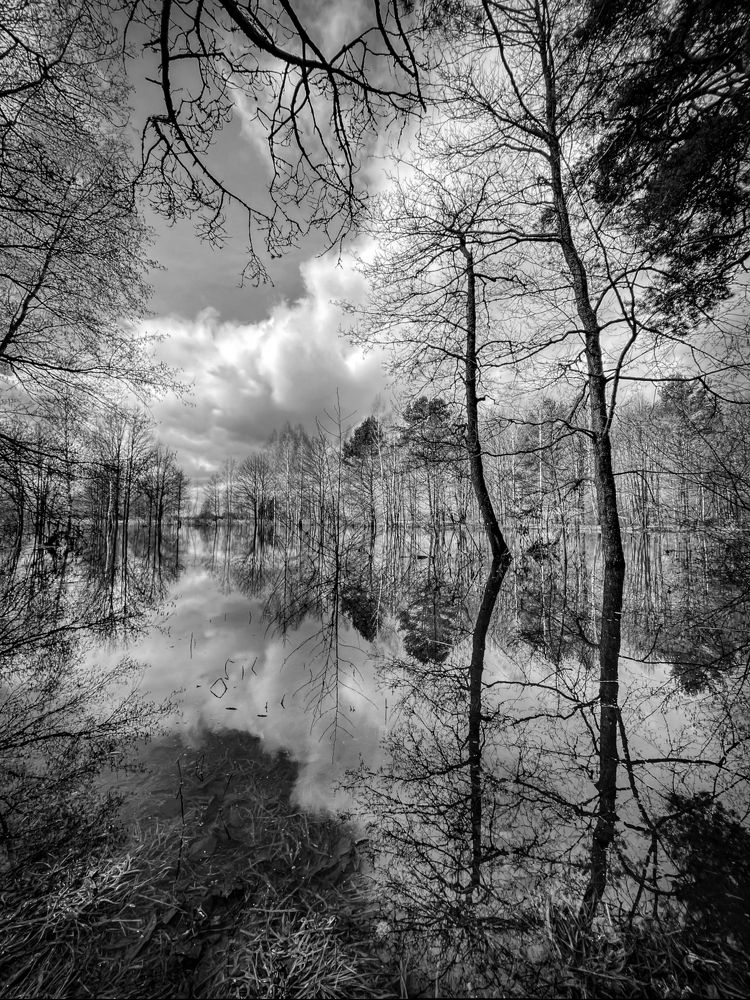 Фотография автора Таша Воскресная