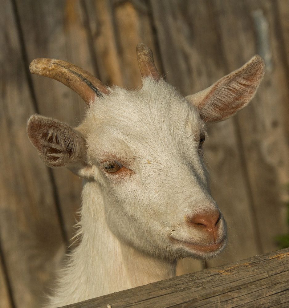 Photograph by Александр Халимов