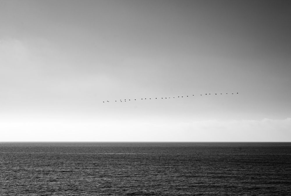 Photograph by Анастасия Кашенко