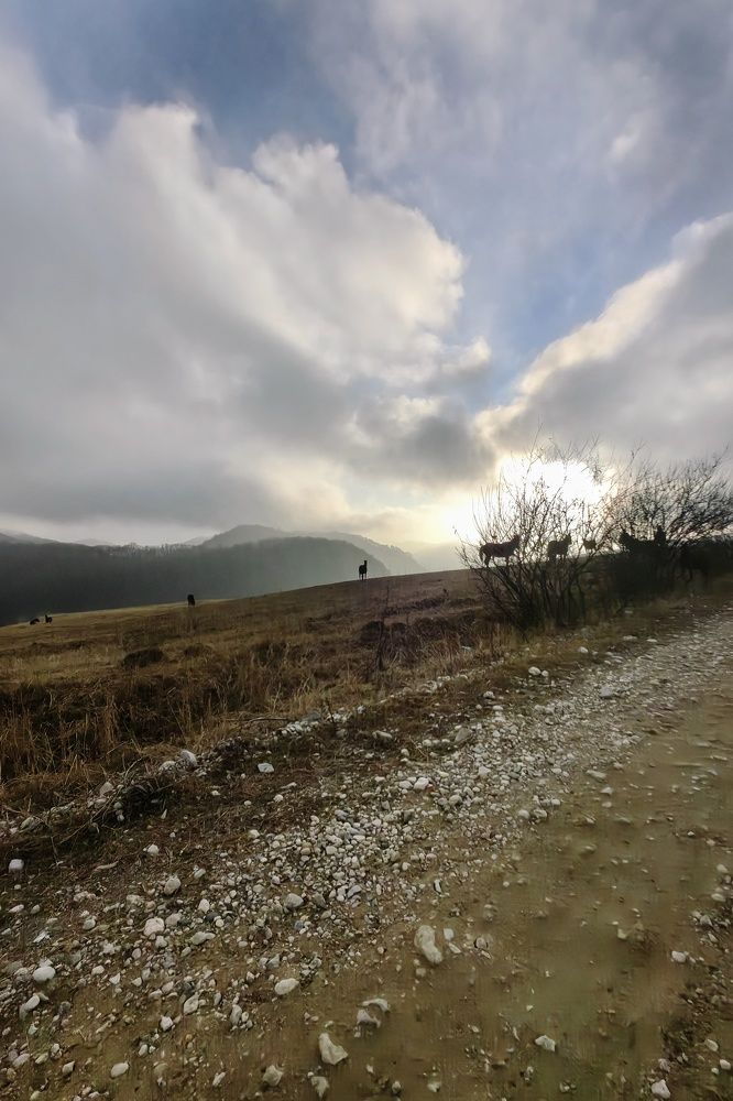 Photograph by Maria Chistova (Pasternak)