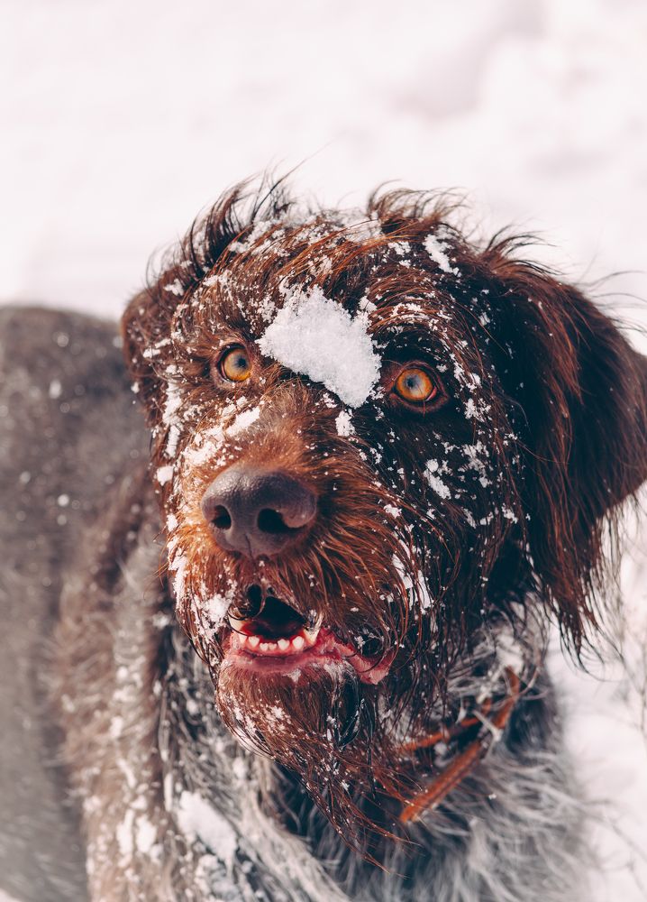 Photograph by Ольга Глущенко