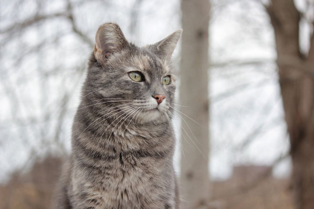 Photograph by Елена Беланенко