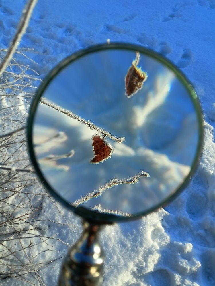 Photograph by Анна Лазарева