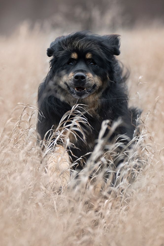 Photograph by Елена Якусева