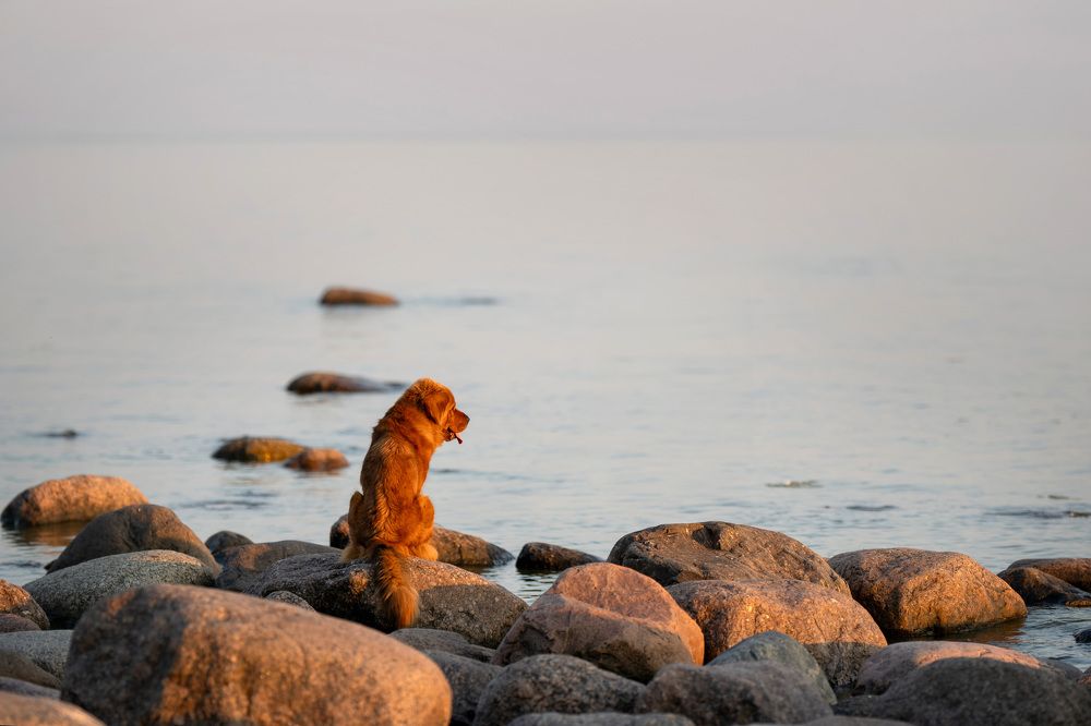 Photograph by Елена Якусева