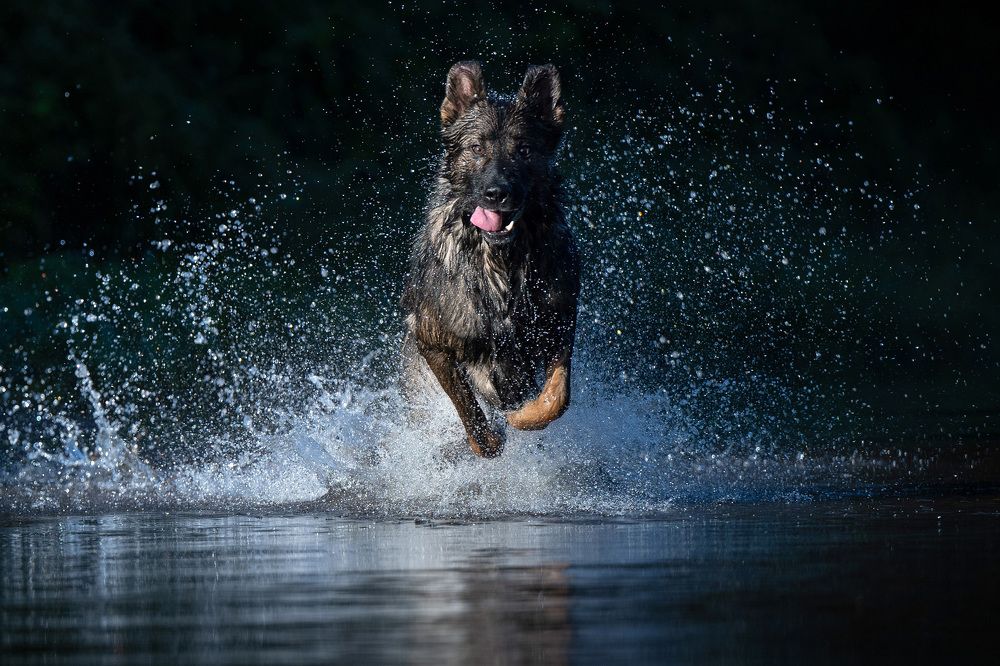 Photograph by Елена Якусева