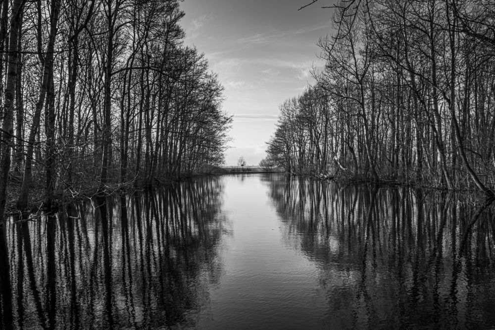 Photograph by Артём Селезнёв