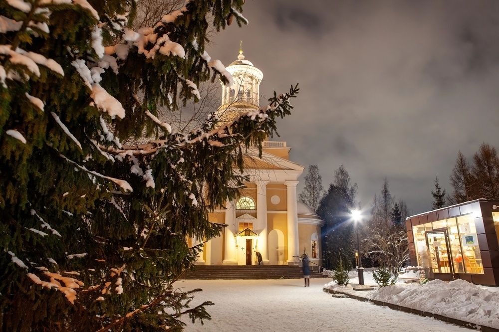 Фотография автора Ольга Зимина