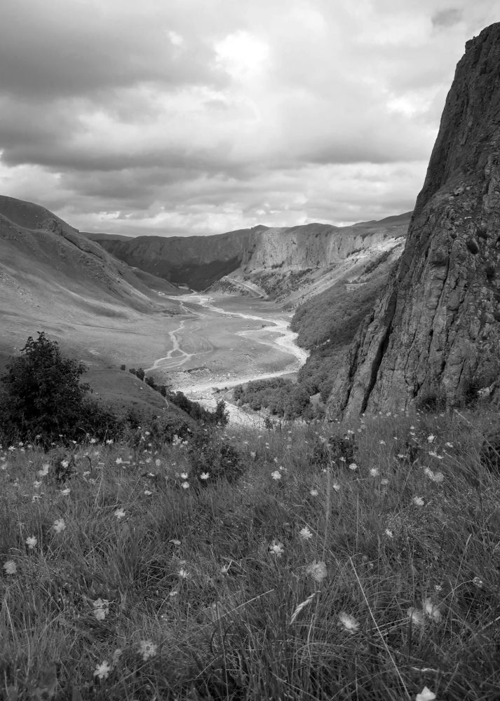 Photograph by Ольга Стоун