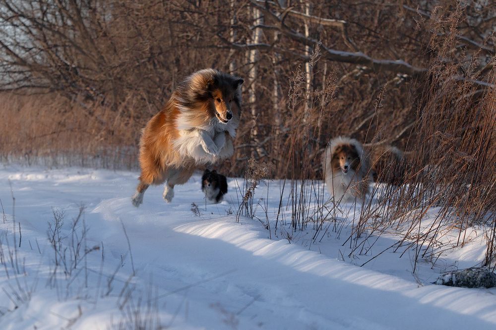 Photograph by СВЕТЛАНА ГРАЧЕВА