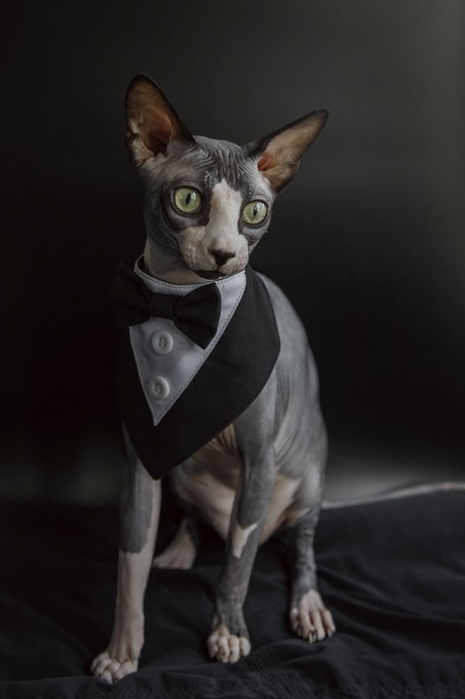 Photograph by Ольга Осинина