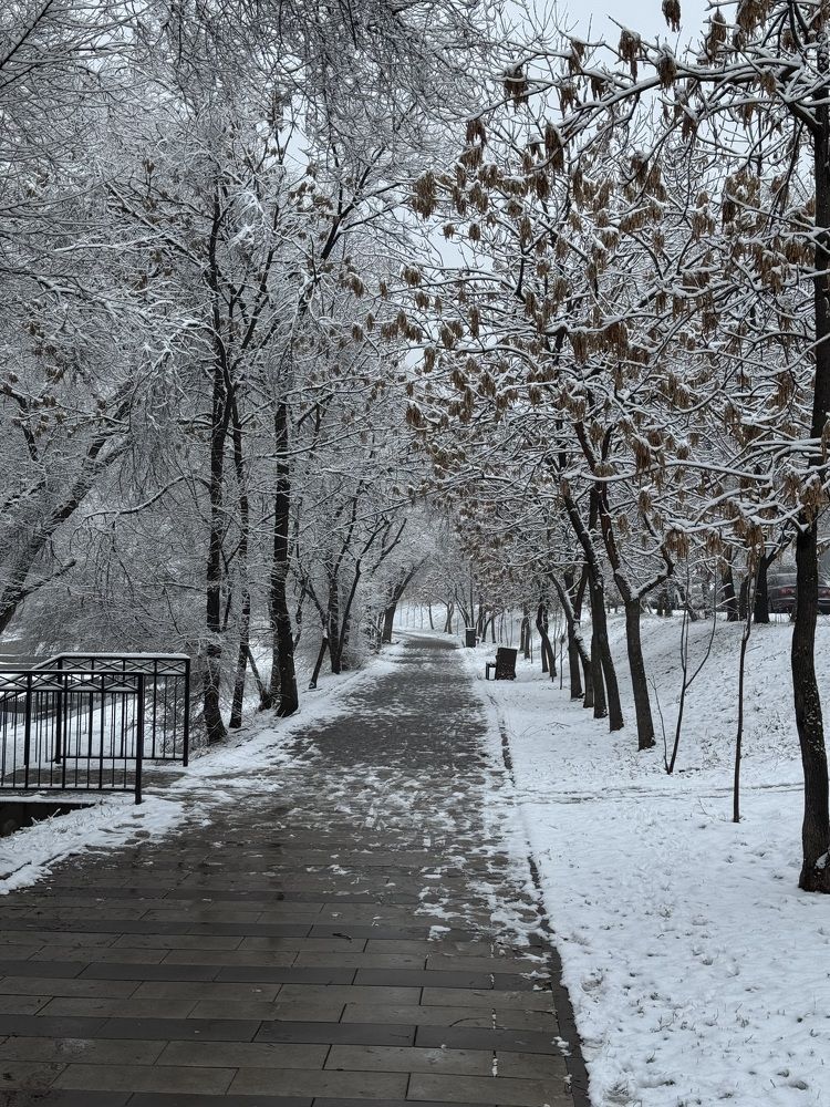 Photograph by Ксения Ершова