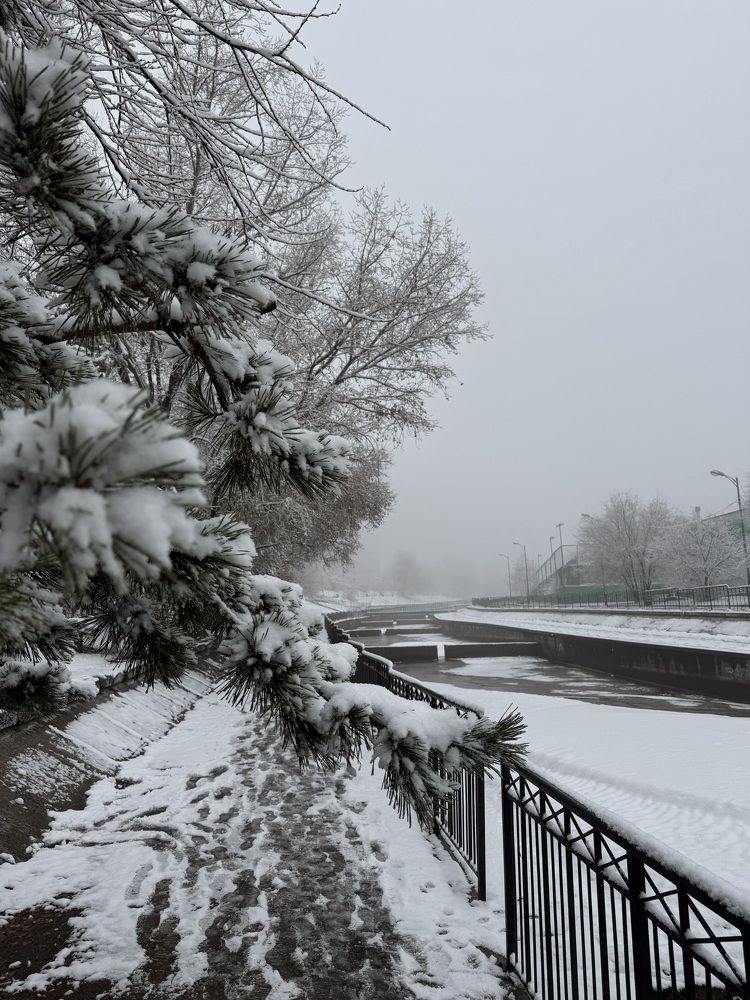 Photograph by Ксения Ершова