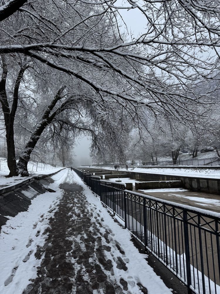 Photograph by Ксения Ершова