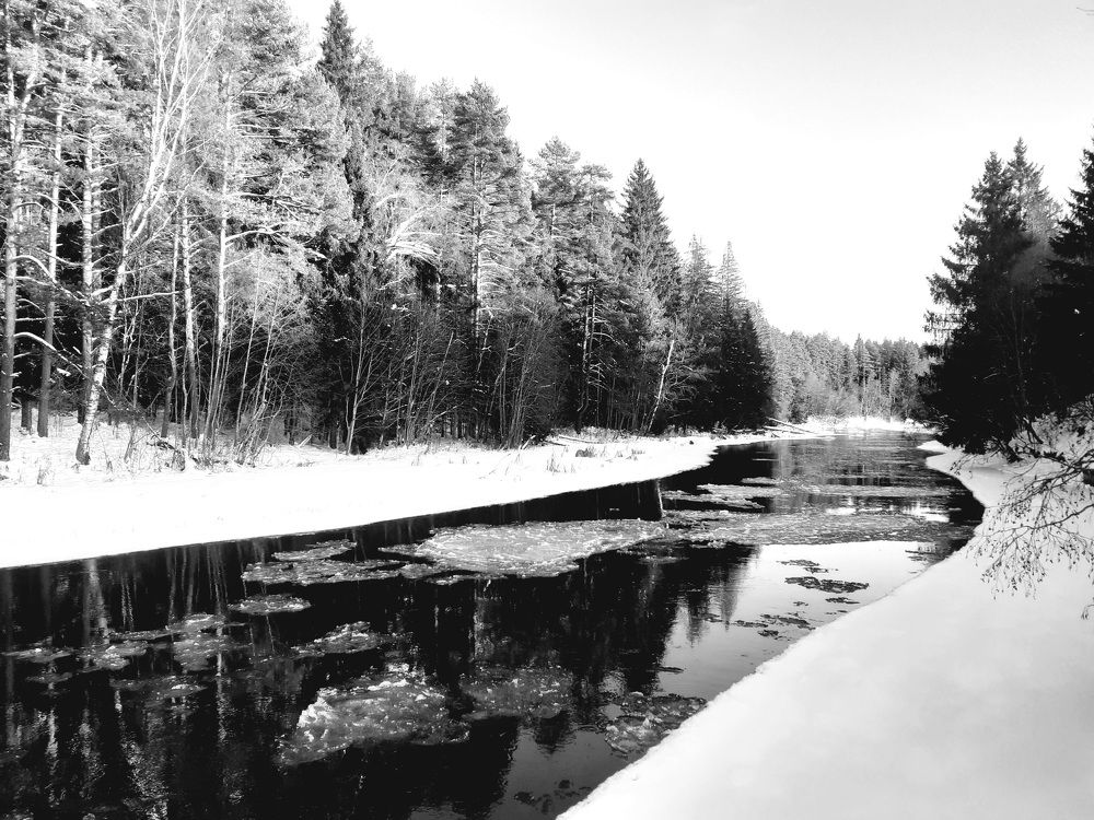 Photograph by Юрий Пучков