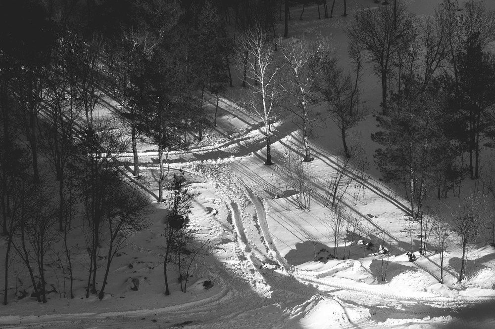 Photograph by Дмитрий Рогов