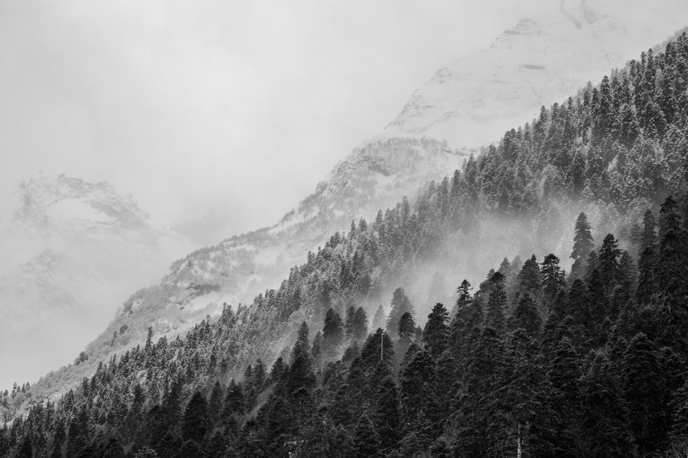 Photograph by Илья Сафаров