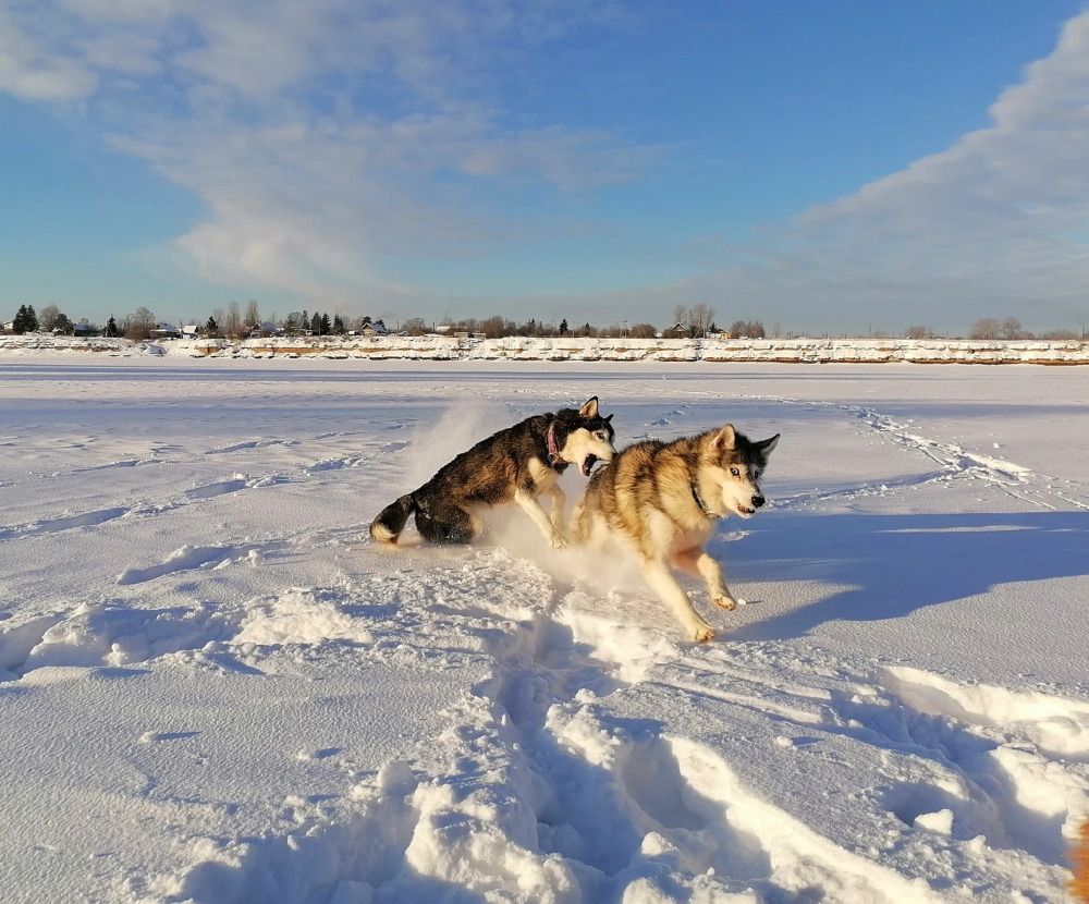 Photograph by Елена Наленч