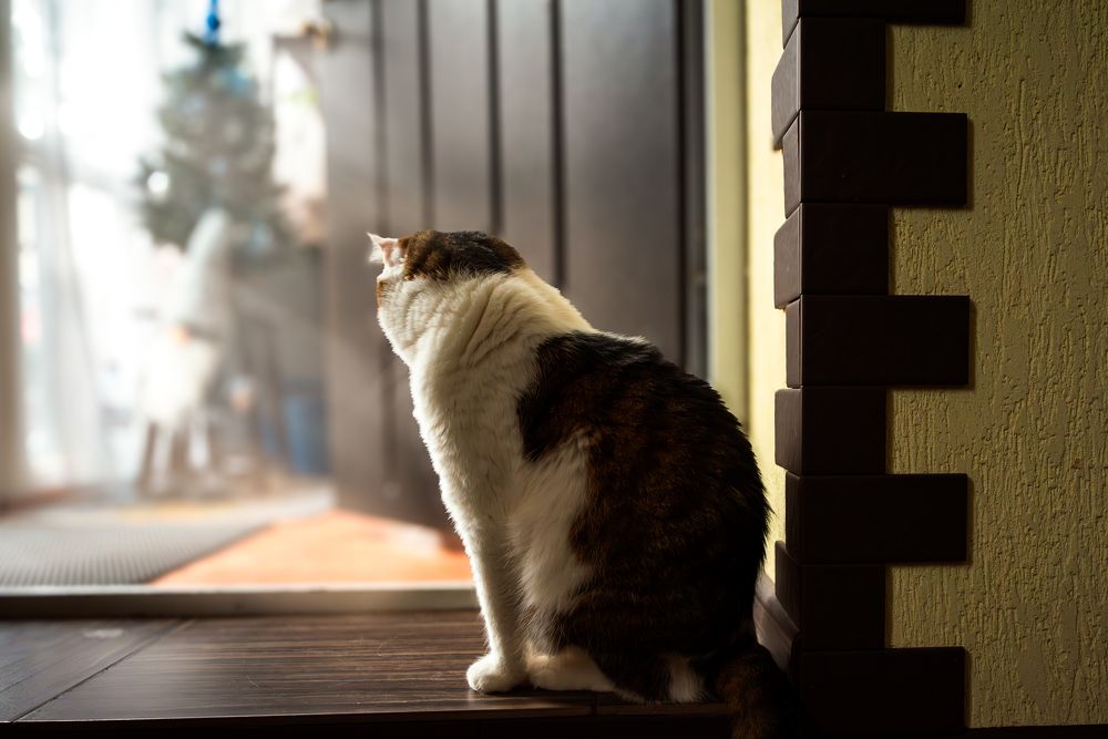 Photograph by Павел Спиваков