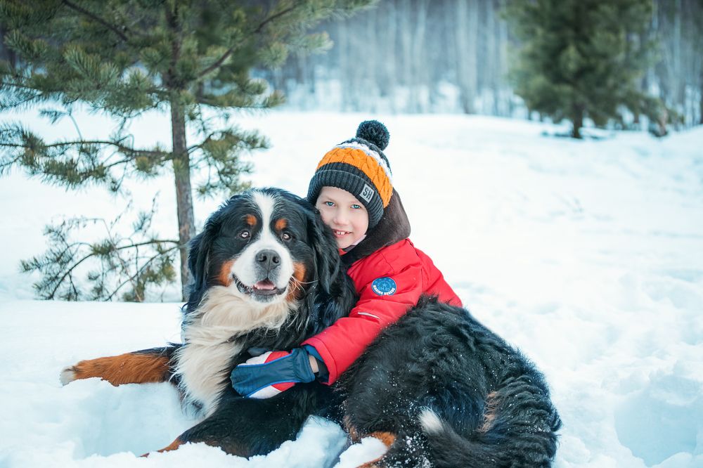 Photograph by Наталья Велиева