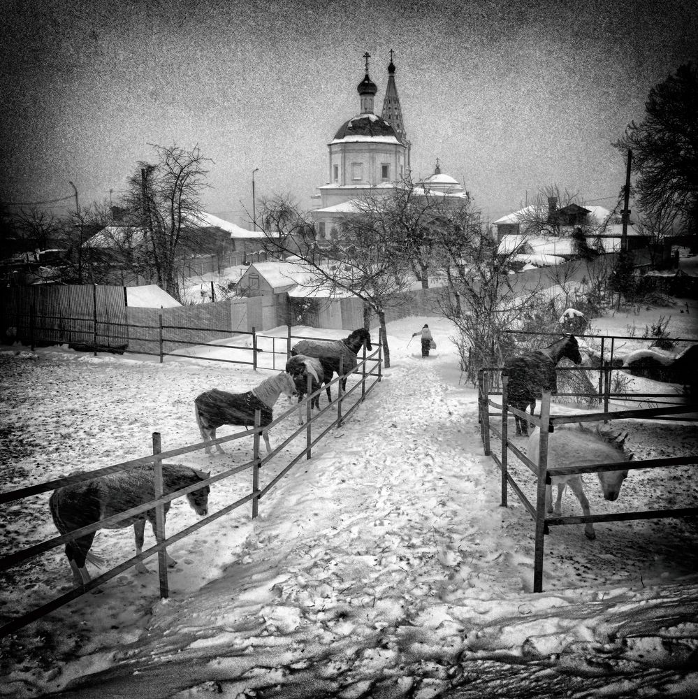 Photograph by Владимир Лосман