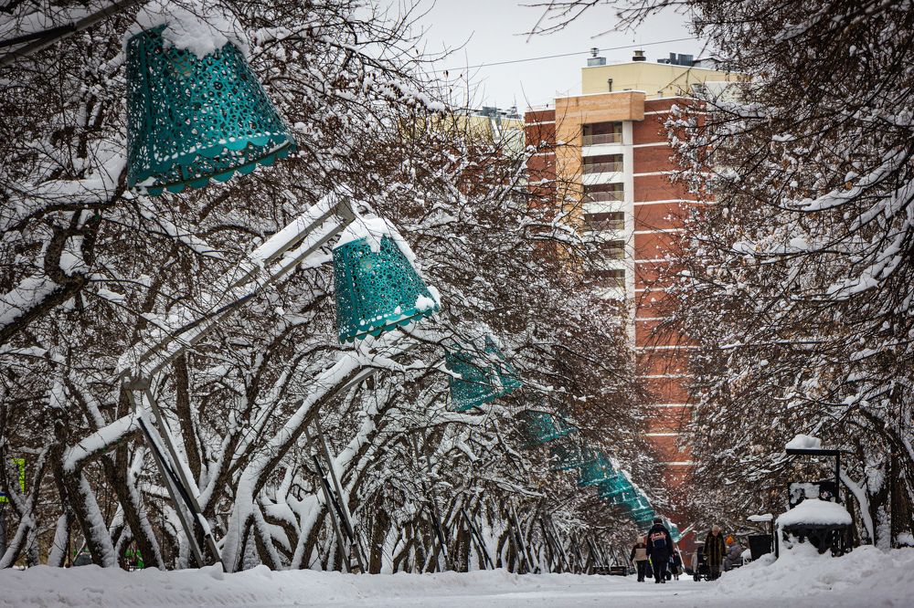 Photograph by Владимир Сушкин