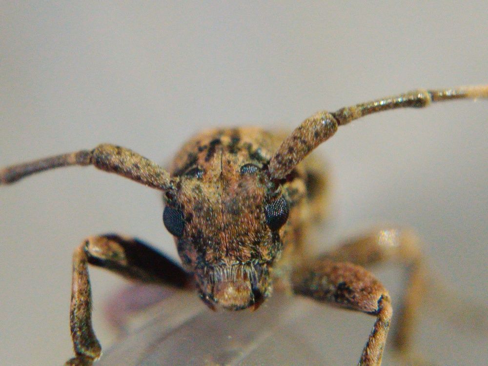 Photograph by I.G. Sachin Hirusha