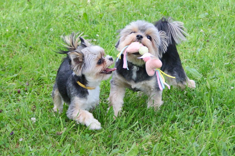 Фотография автора Jevgeni Filimonov