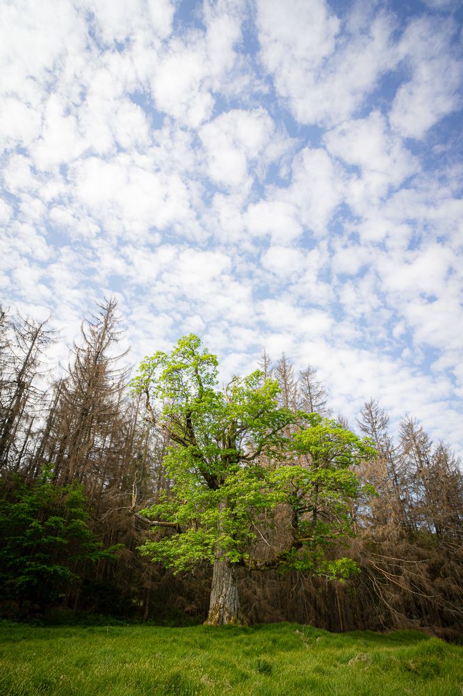 Photograph by Jan Vacek