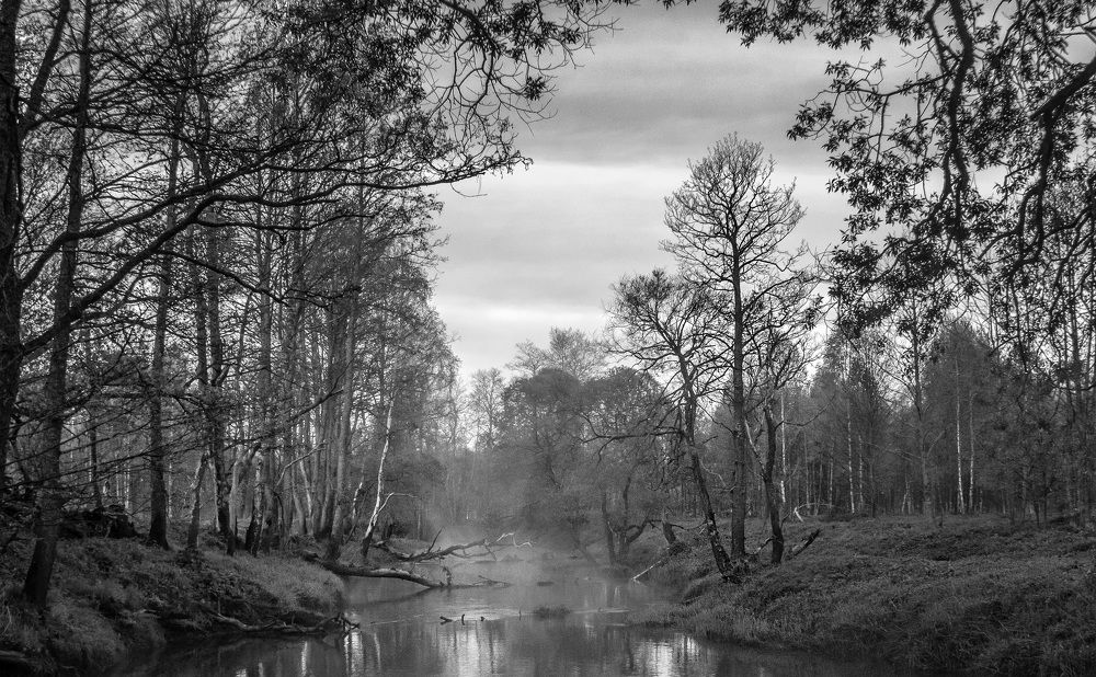 Photograph by Цветков Сергей