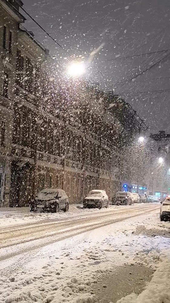 Фотография автора Марина Алексеевская