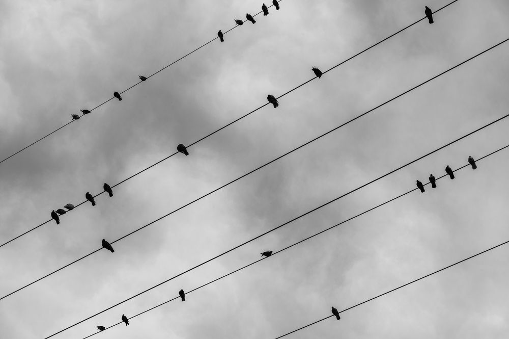 Photograph by Анастасия Кашенко