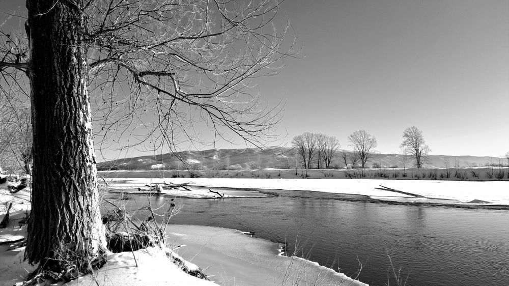 Photograph by Александра Насырова