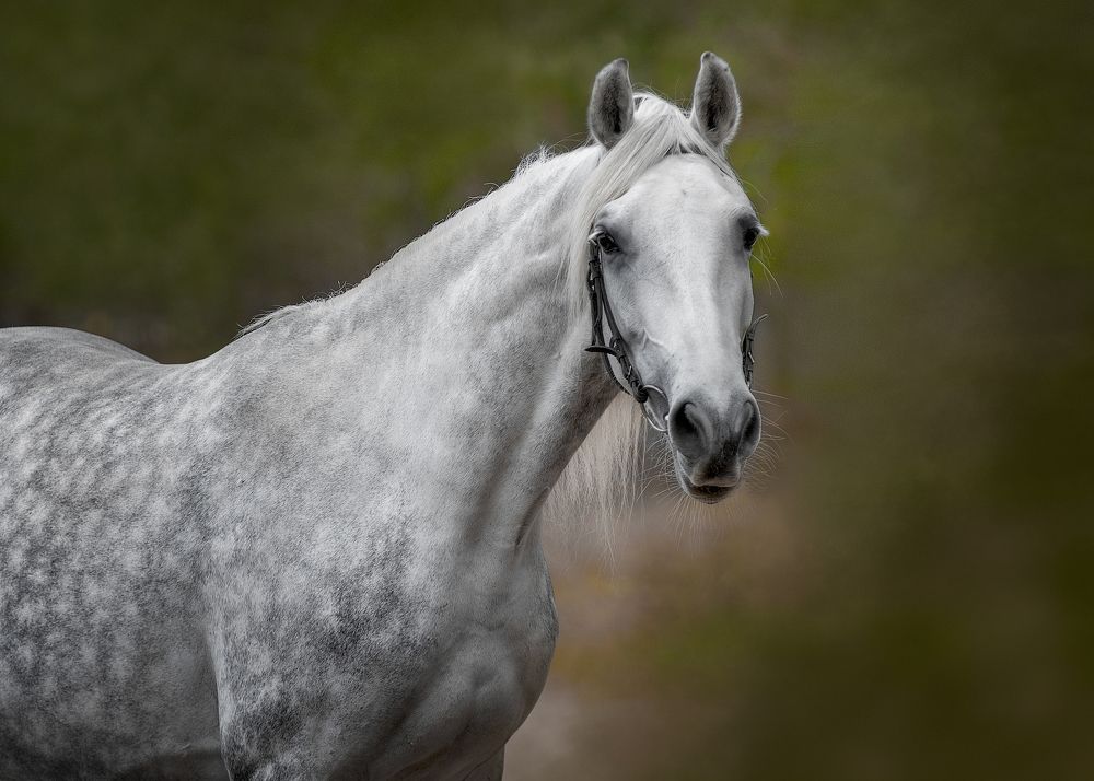 Фотография автора Tatiana Veresk