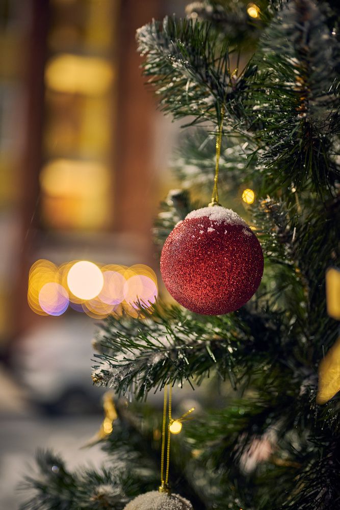 Photograph by Всеволод