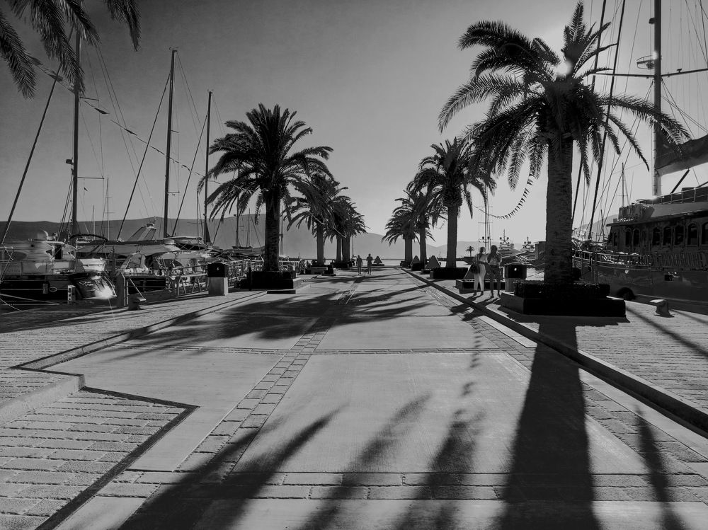 Photograph by Александр Гришин