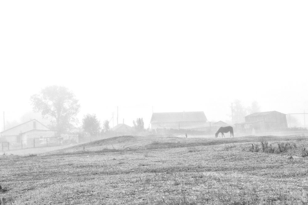 Photograph by Vitaliy Saposhnikov