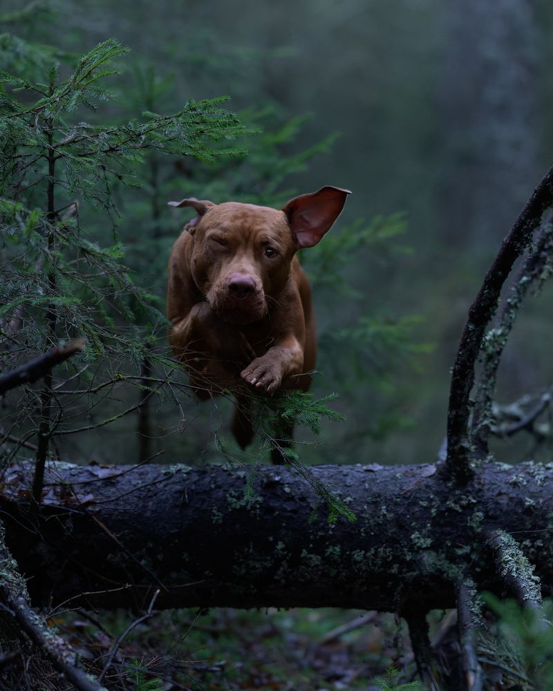 Photograph by Roman Fabrichny