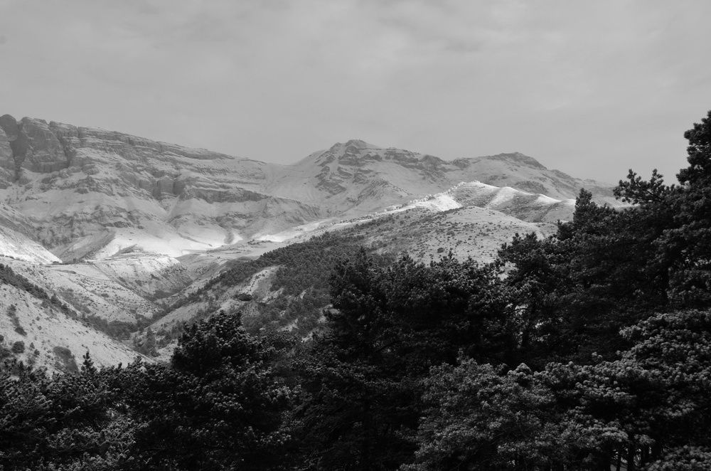 Photograph by Margareth Tikhonova