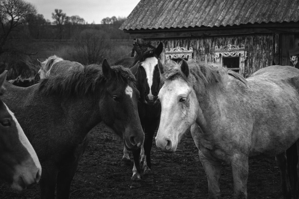 Photograph by Анна Дубинина