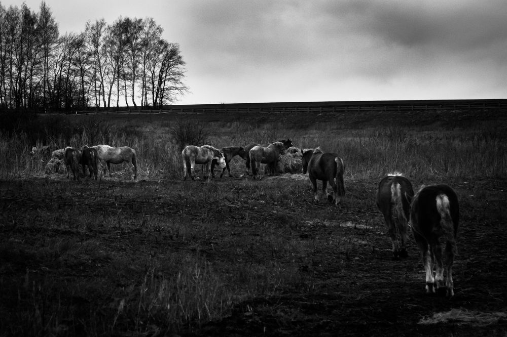 Photograph by Анна Дубинина