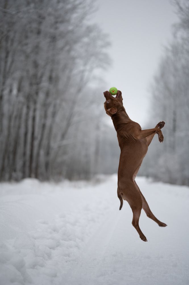 Photograph by Roman Fabrichny