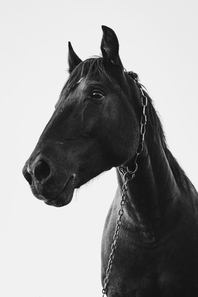 Photograph by Анна Дубинина