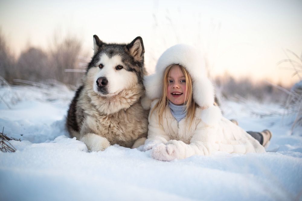 Photograph by Ольга Черкасова