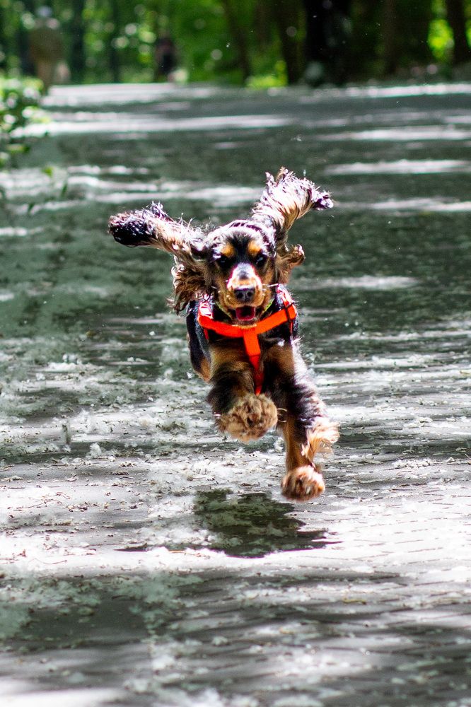 Фотография автора Totoro